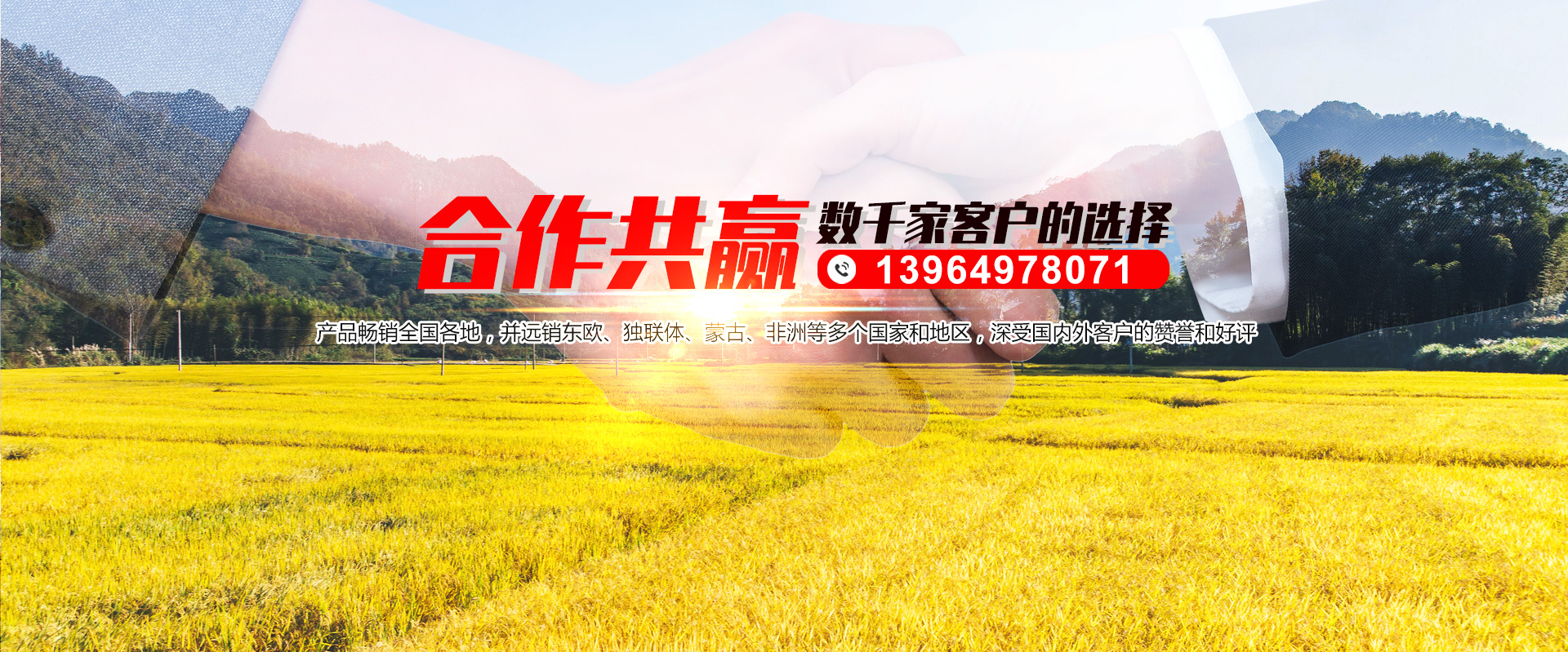 山東恒瑞包裝材料有限公司